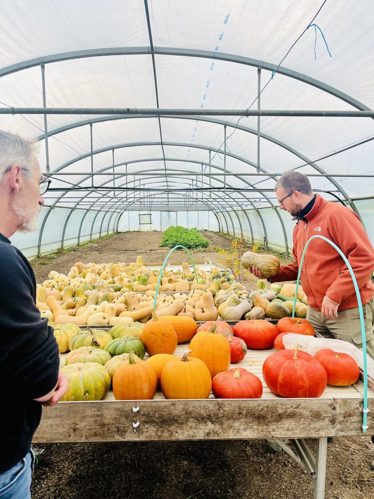 La sucrine du Berry entre les mains de Julien Maréchal collaborateur d'ISA Entraide.